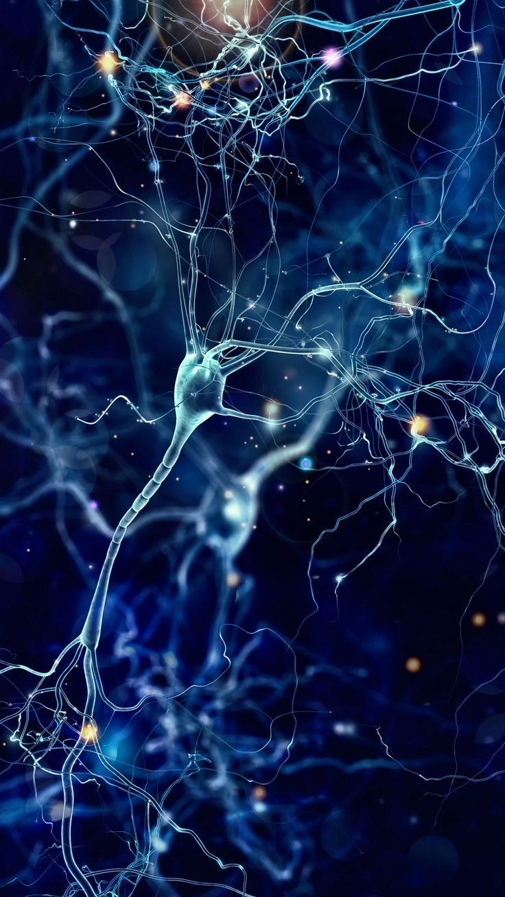 &quot;Il tuo cervello ti inganna: perché dimentichi cose che pensavi di ricordare&quot; 